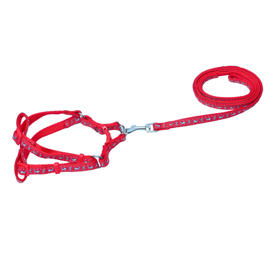 Red dog harness leash in india